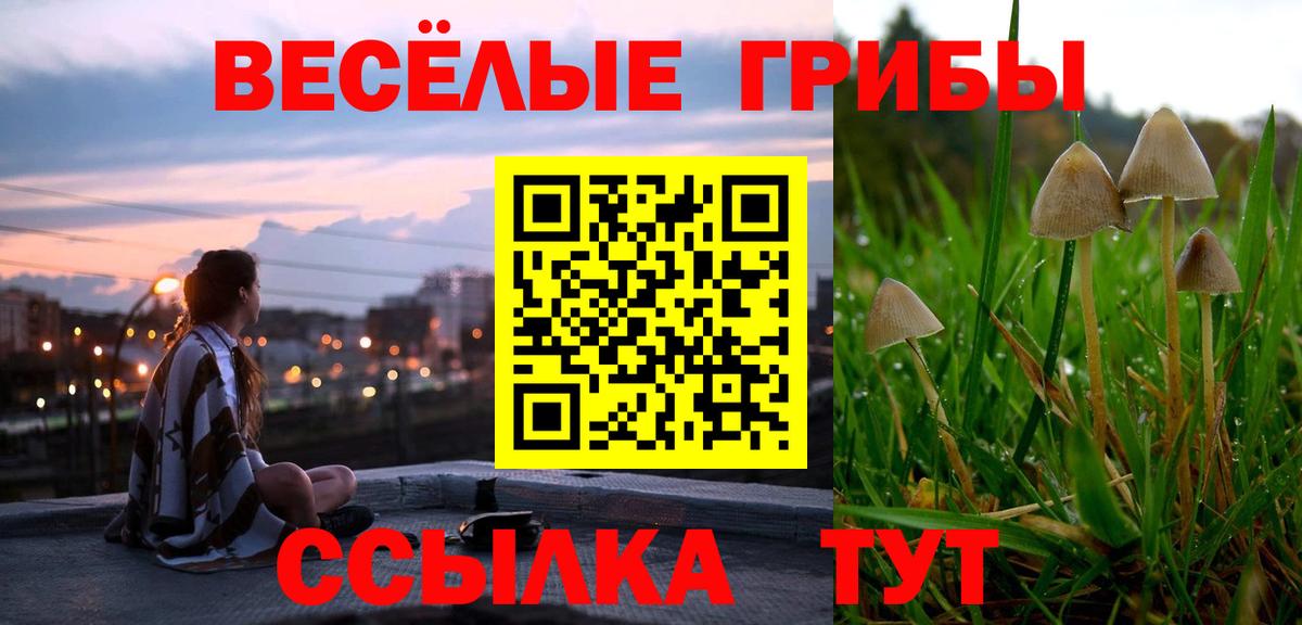 Галлюциногенные грибы Cubensis  Вход с VPN  Волгоград 